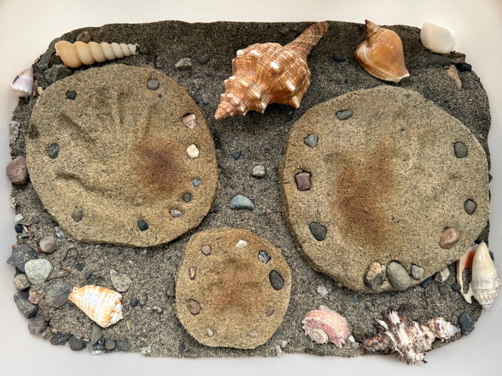 child sand handprints